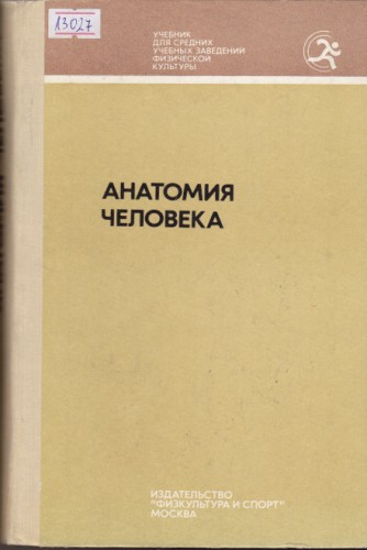 Анатомия человека