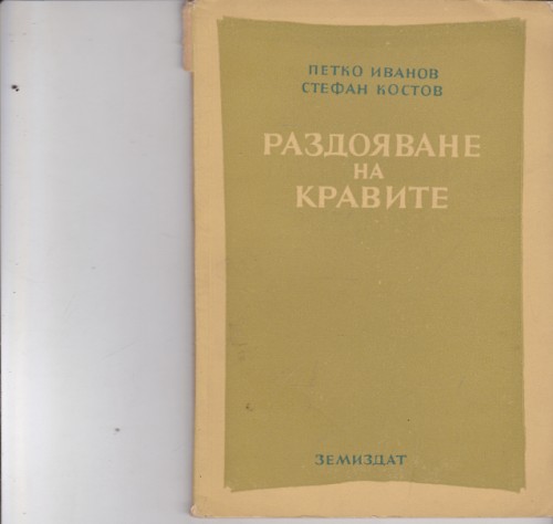 Раздояване на кравите