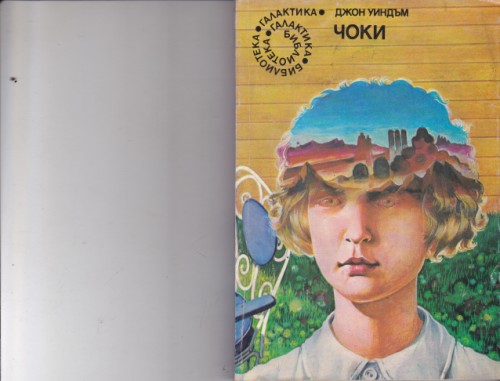 Чоки