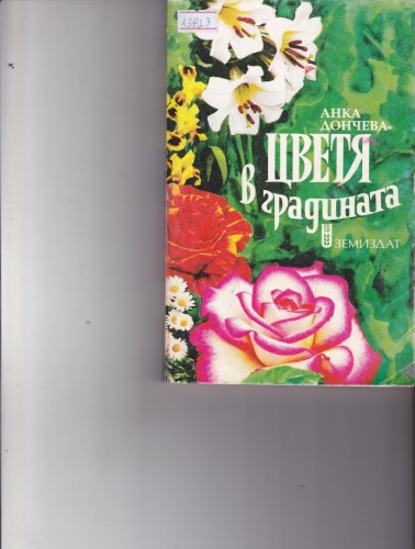 Цветя в градината