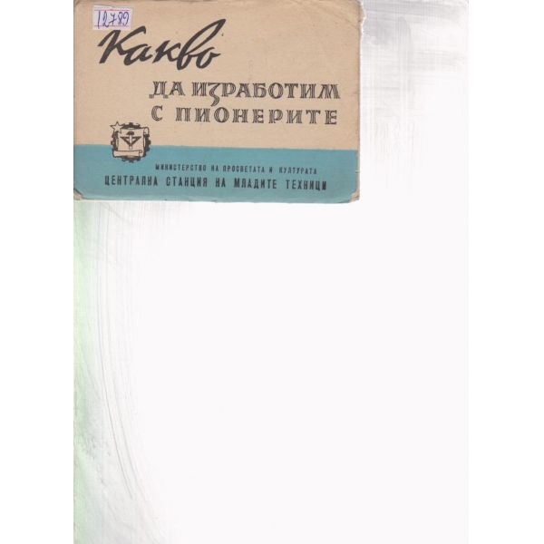 Какво да изработим с пионерите