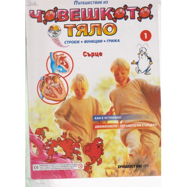 Човешкото тяло-Сърце