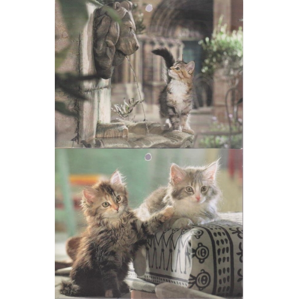 Снимка-котета-двустранни,различни-16 бр.