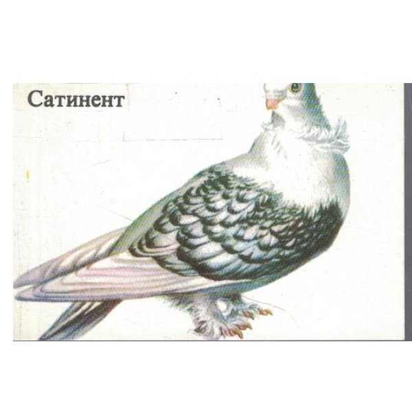 Календар-1986 г.-Сатинент-2 бр.