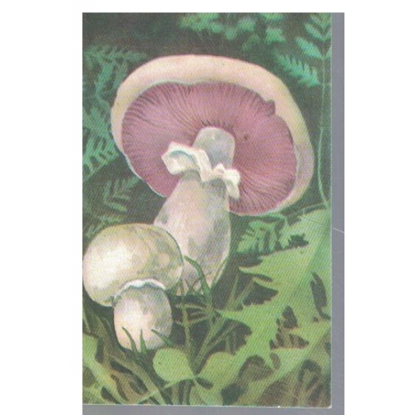 Календар-1990 г.