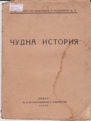 Чудна история