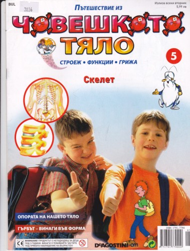 Човешкото тяло-Скелет