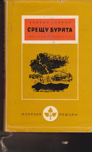 Срещу бурята