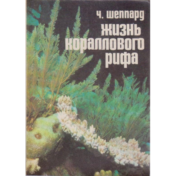 Жизнь кораллового рифа