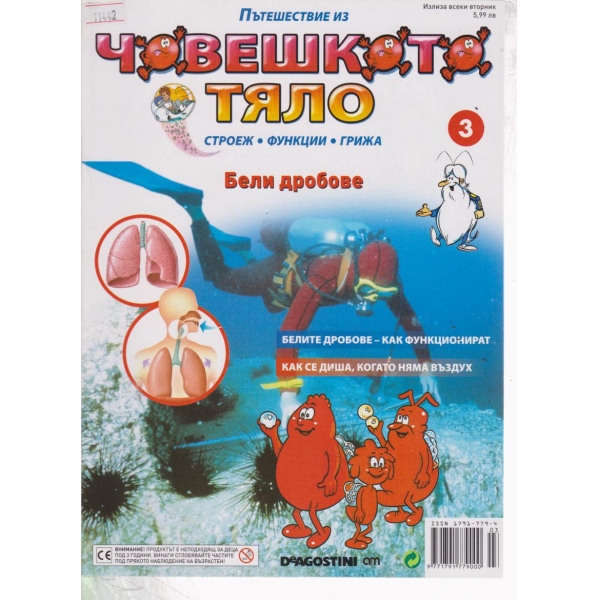 Човешкото тяло-Бели дробове