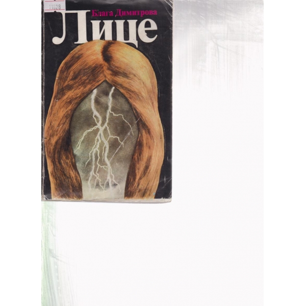 Лице
