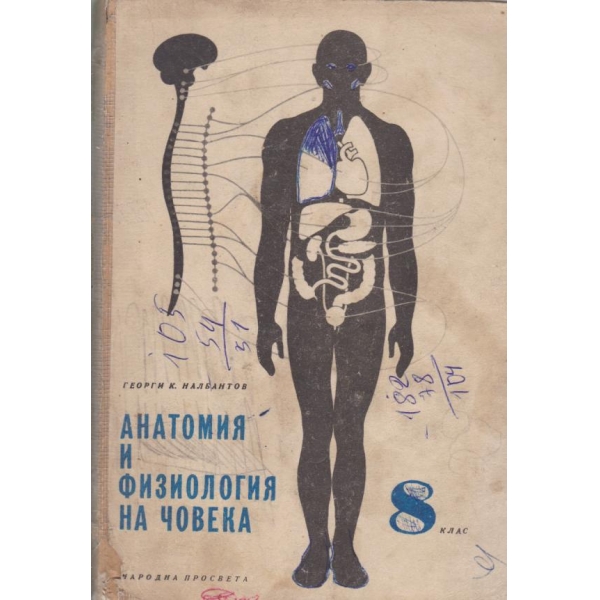Анатомия и физиология на човека