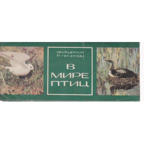 В мире птиц