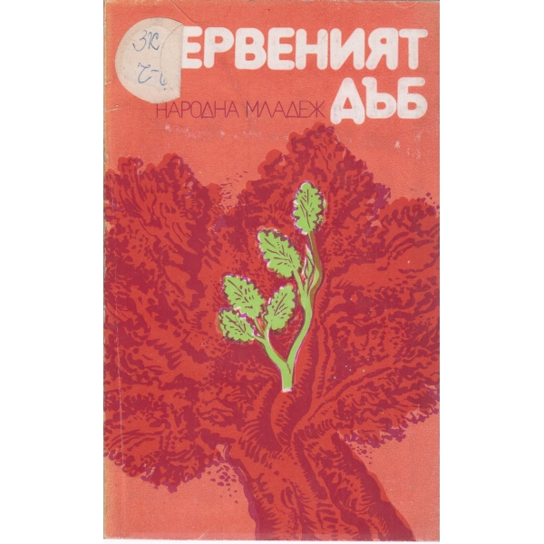 Червеният дъб