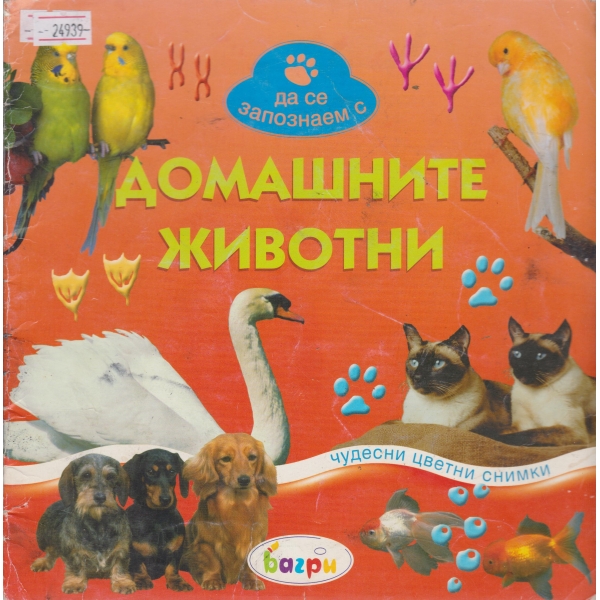 Домашните животни