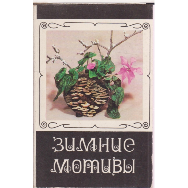 Зимние мотивьи